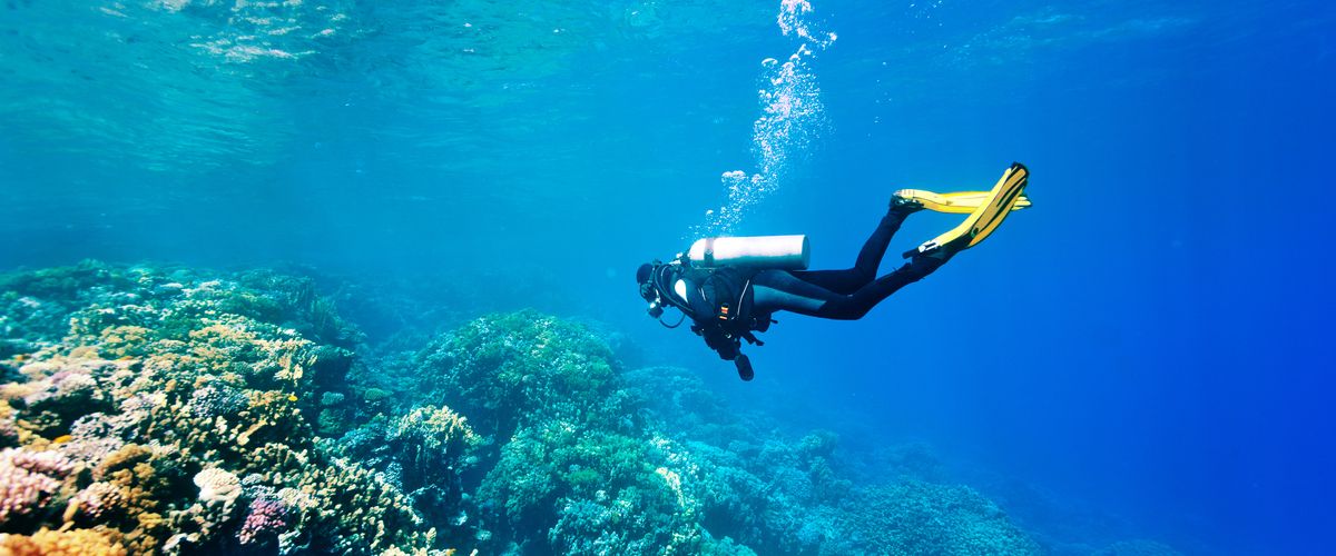 Underwater Exploration in Qatar