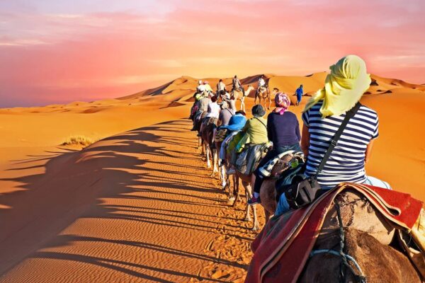 Start Your Desert Journey the Smart Way Golden Desert Safari booking online using smartphone