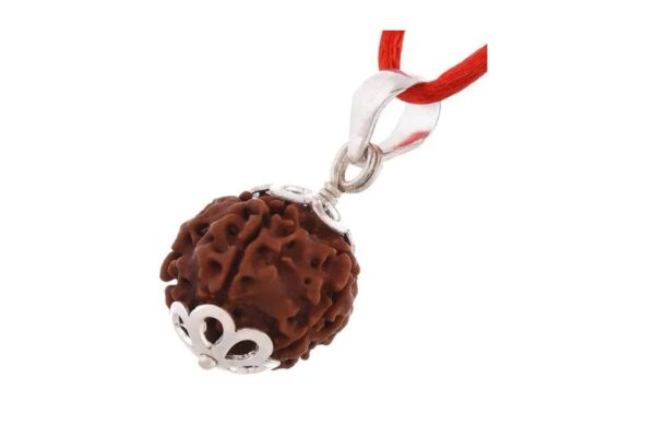 8 Mukhi Rudraksha for Wisdom, Strength and Inner Stability 8 Mukhi Rudraksha