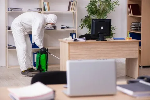 Office Pest Control: Keep Your Workplace Clean and Pest-Free Office Pest Control
