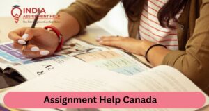 Online Assignment help Canada