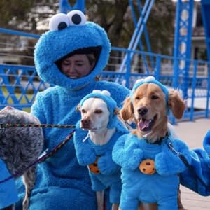 dog clothing online