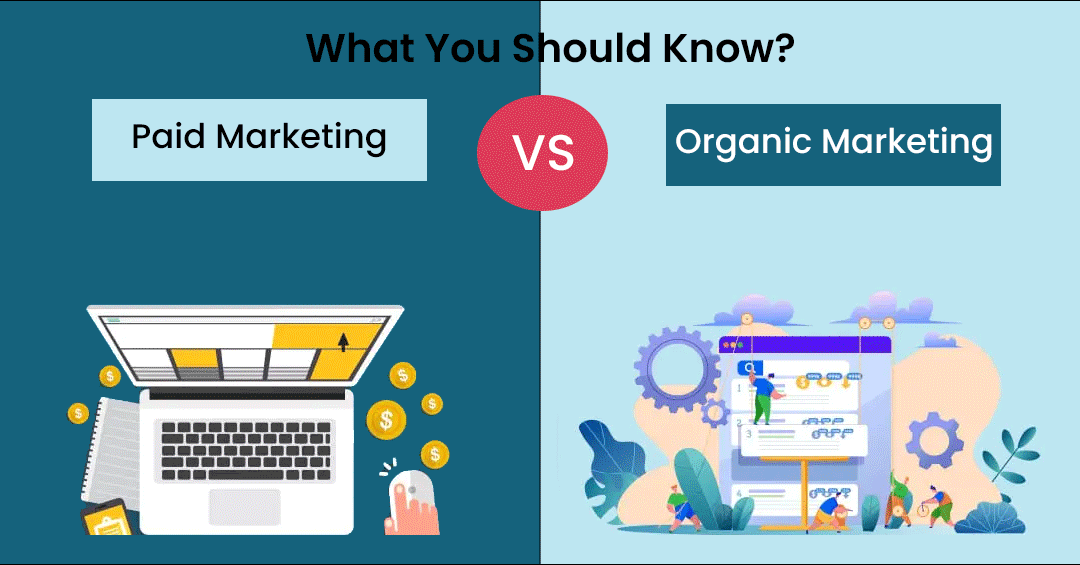 organic vs paid