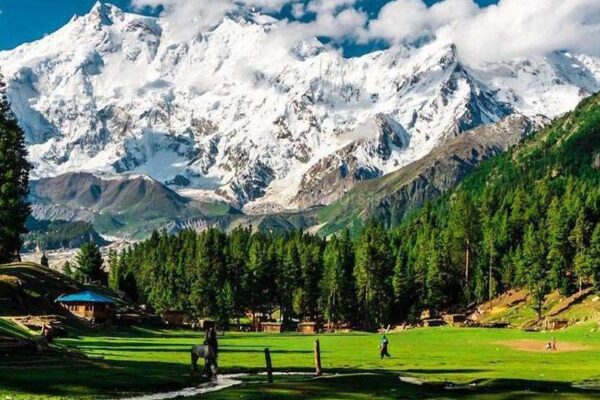 Book the Best Honeymoon Tour Packages & Travel Deals in Islamabad – Affordable Tours for Couples honeymoon tour packages